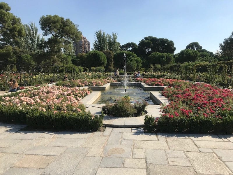 zona de rosales